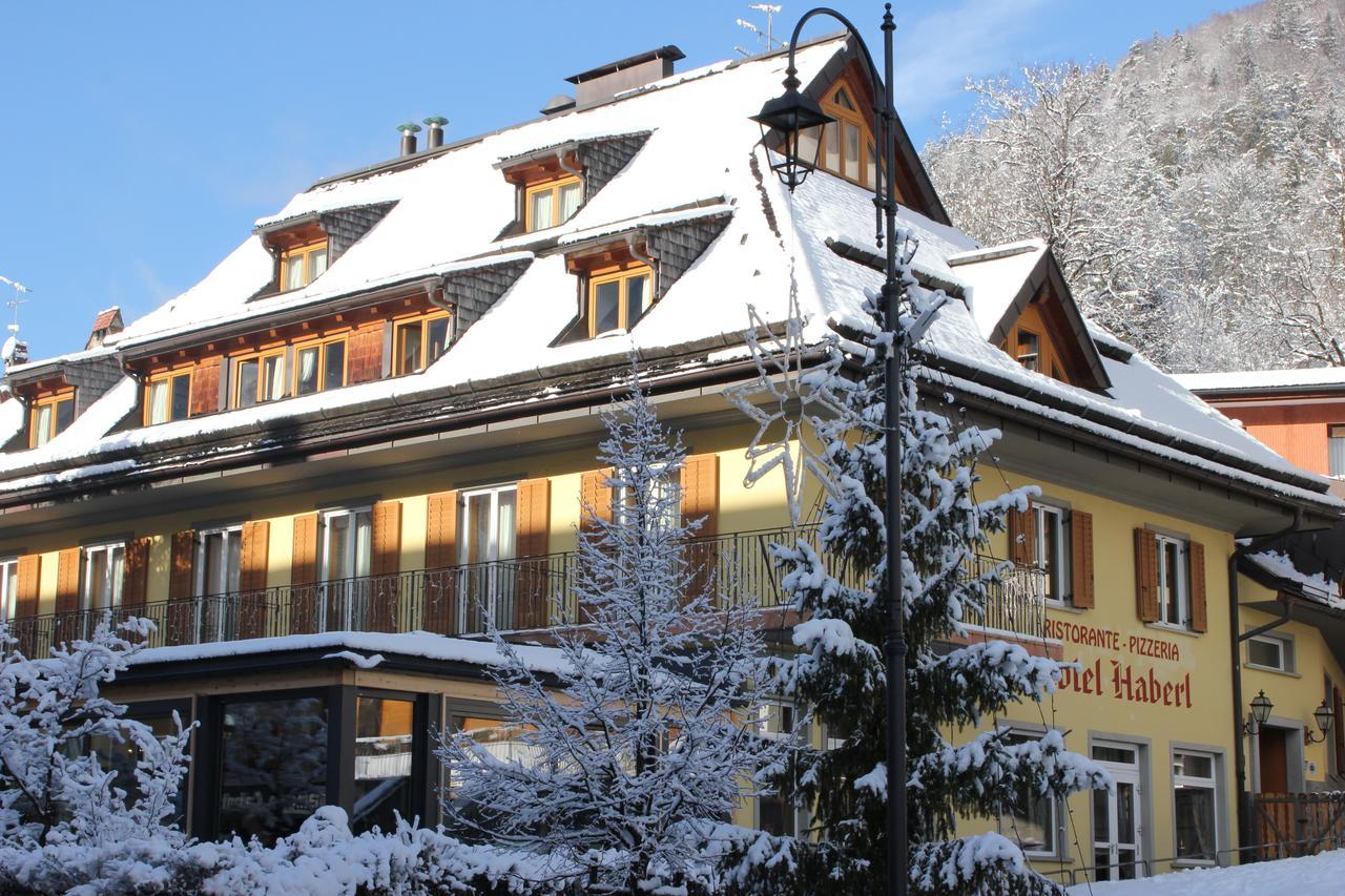 Hotel Haberl Tarvisio Exterior foto